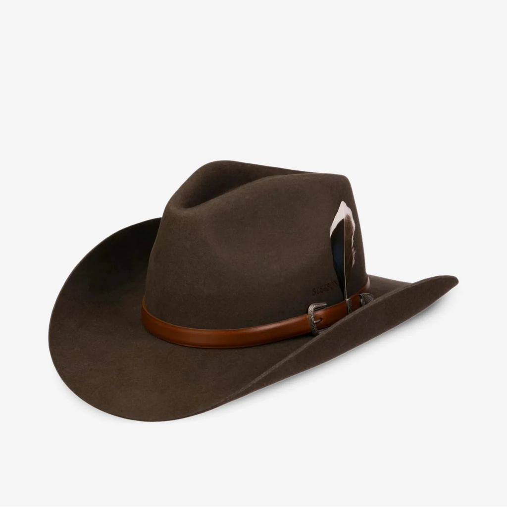 Stetson Limington in Dark Brown Cowboy Hat