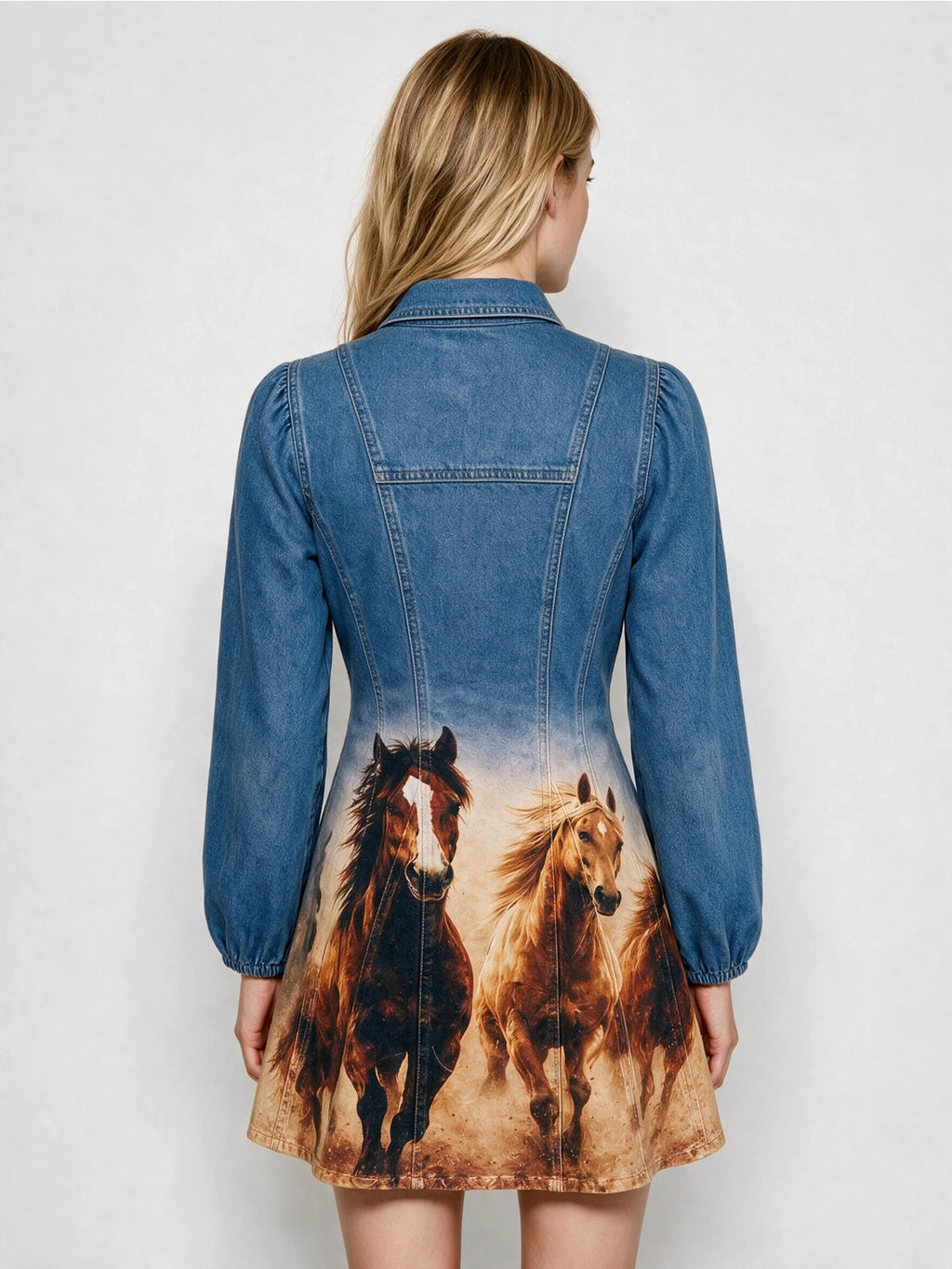 Wild Horses Denim Western Dress